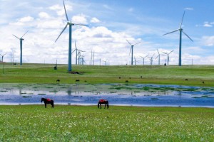 新能源公司經(jīng)營領(lǐng)域捷報(bào)頻傳