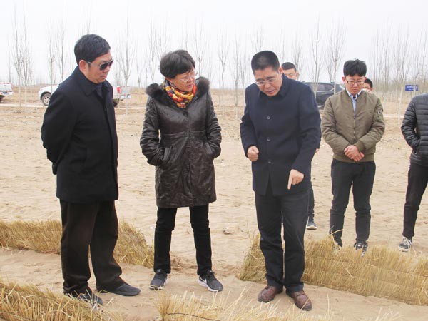 國(guó)家林草局調(diào)研新能源公司