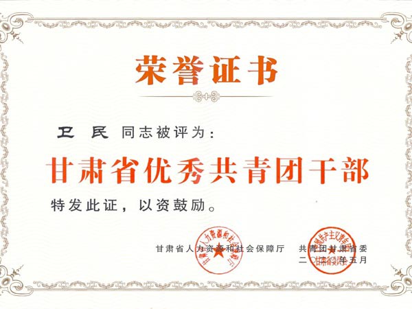 甘肅建投新能源科技股份有限公司團支部青年代表參加“學(xué)習(xí)寄語精神，展現(xiàn)青春擔(dān)當(dāng)”座談會