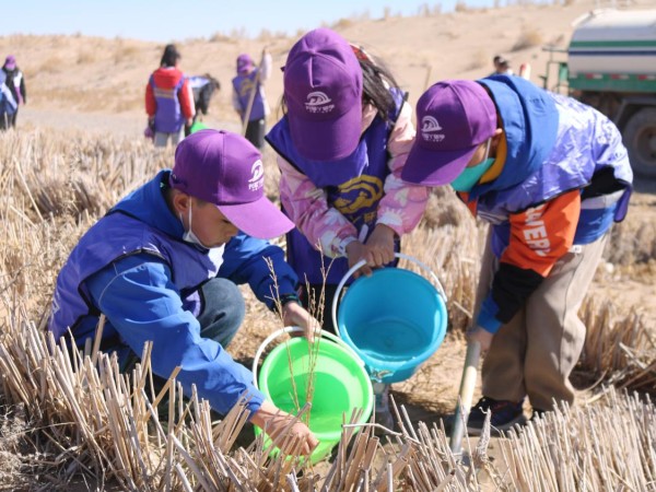 甘肅建投新能源公司沙漠研學(xué)旅行基地舉辦“我與小樹共成長，爭做護(hù)綠小使者”主題研學(xué)活動