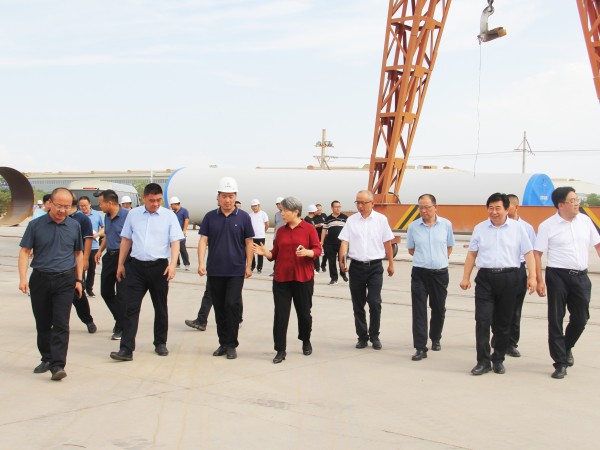 武威市委副書記、市長馬秀蘭一行調研甘肅建投新能源公司