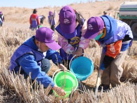 甘肅建投新能源公司沙漠研學(xué)旅行基地舉辦“我與小樹共成長，爭做護(hù)綠小使者”主題研學(xué)活動(dòng)
