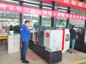 新能源公司職工喜獲 涼州區(qū)職工職業(yè)技能大賽獎項