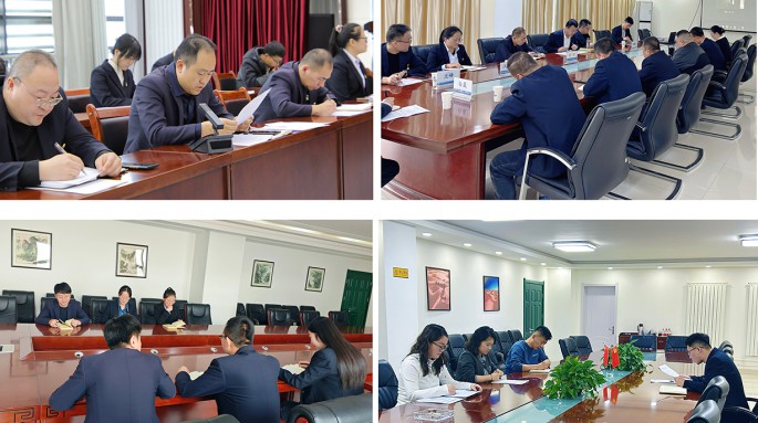 甘肅建投新能源公司各黨支部召開2024年度組織生活會